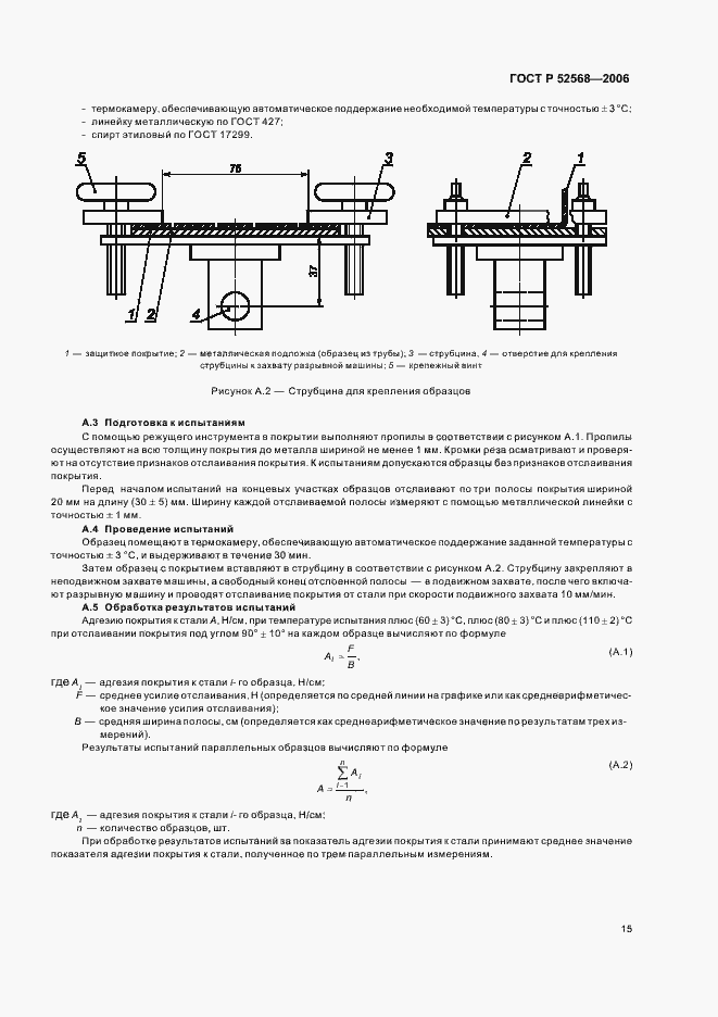   52568-2006.  19