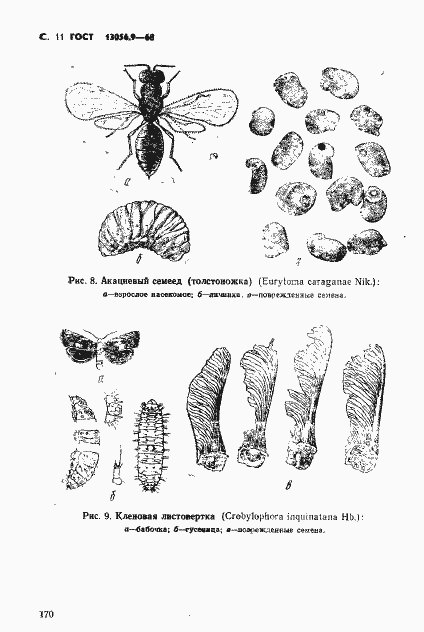 ���� 13056.9-68. �������� 11
