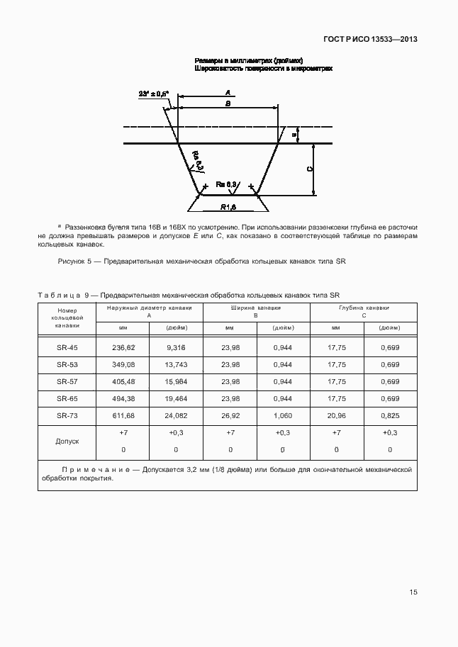 ���� � ��� 13533-2013. �������� 19