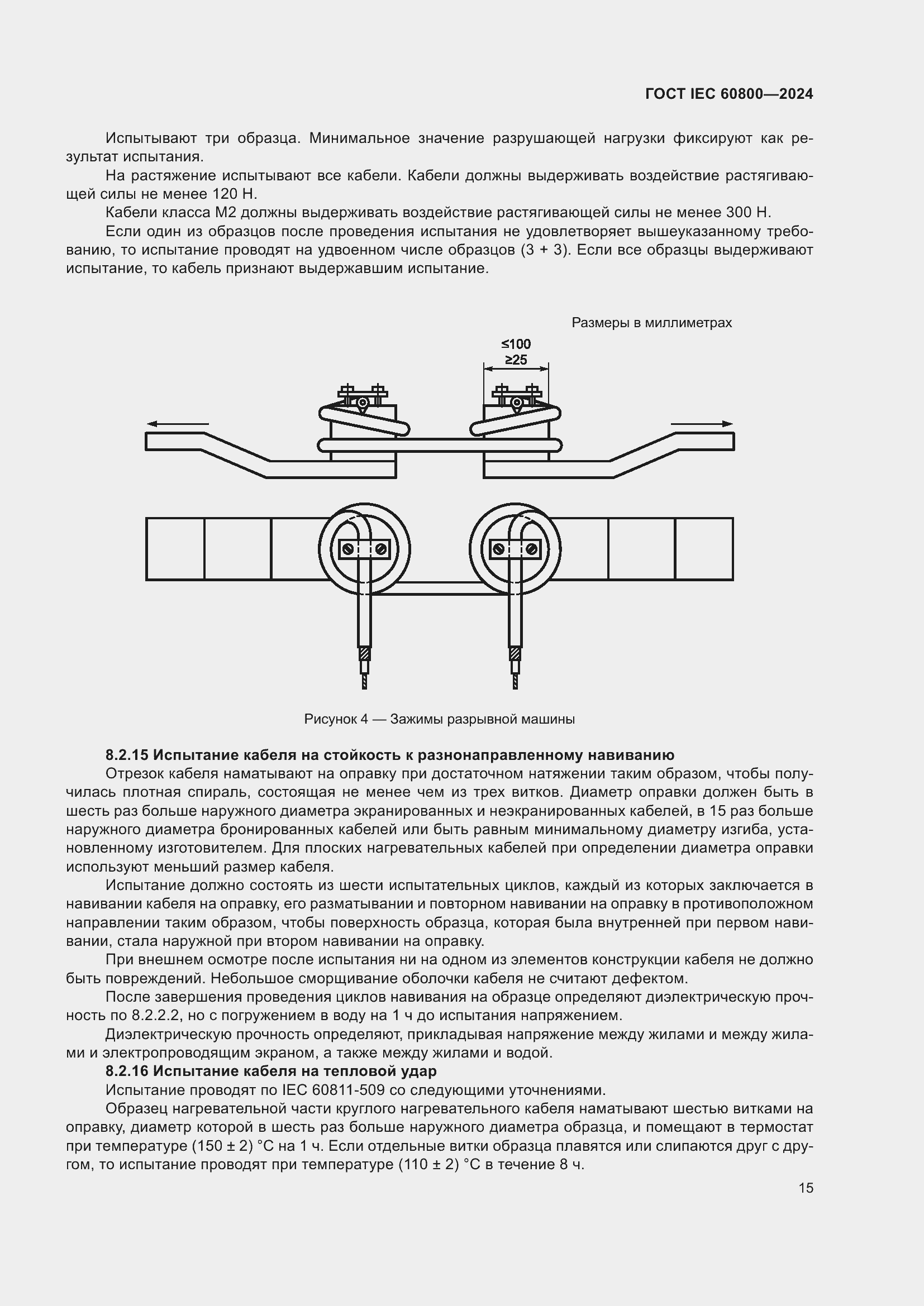 ���� IEC 60800-2024. �������� 21