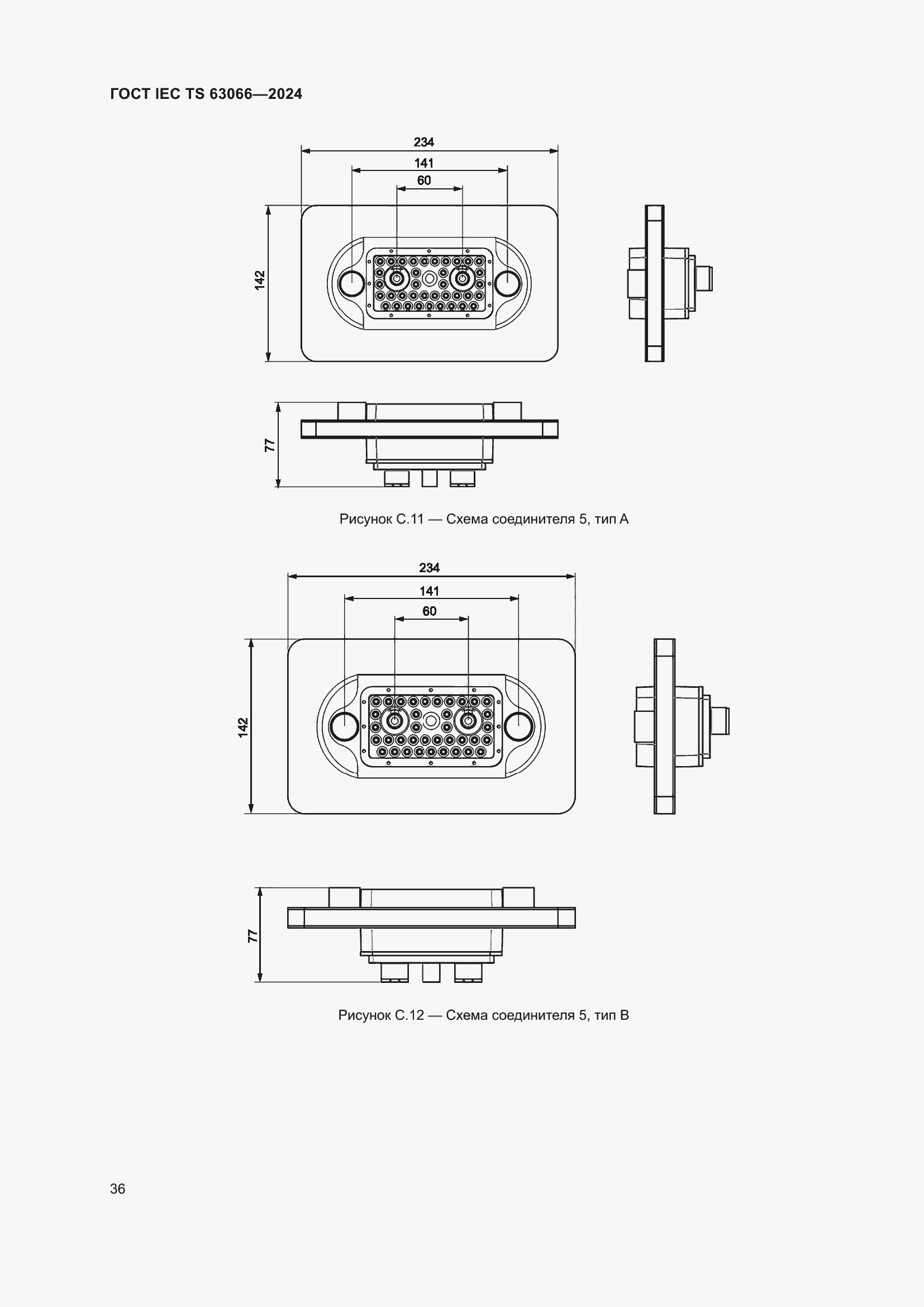 ���� IEC/TS 63066-2024. �������� 42