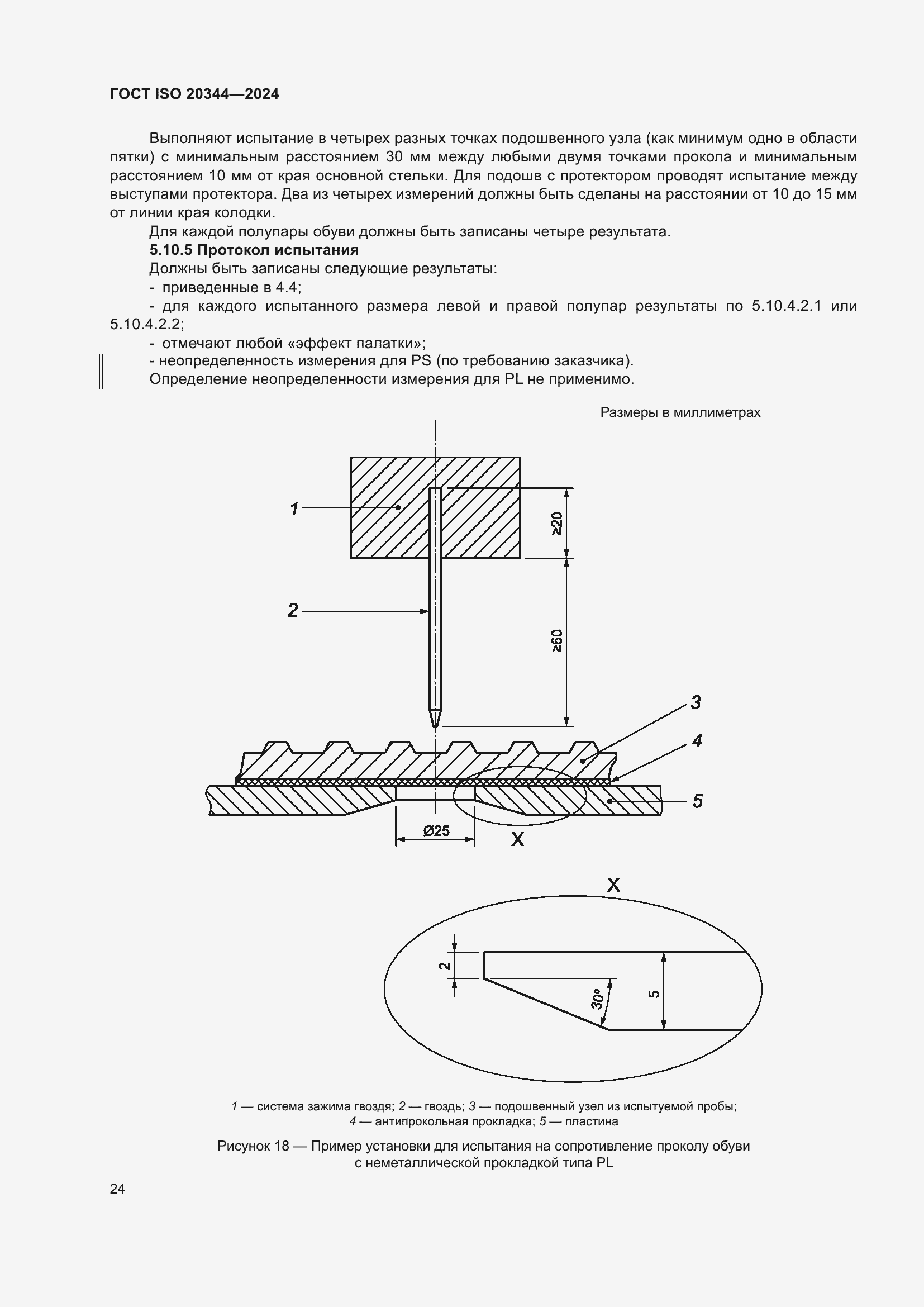 ���� ISO 20344-2024. �������� 31