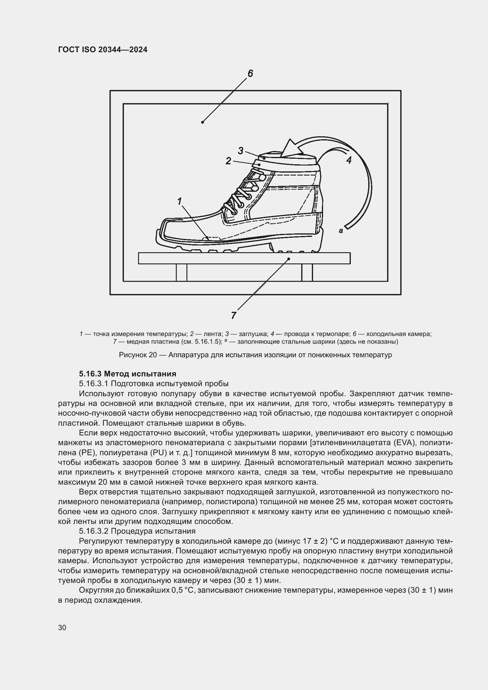 ���� ISO 20344-2024. �������� 37