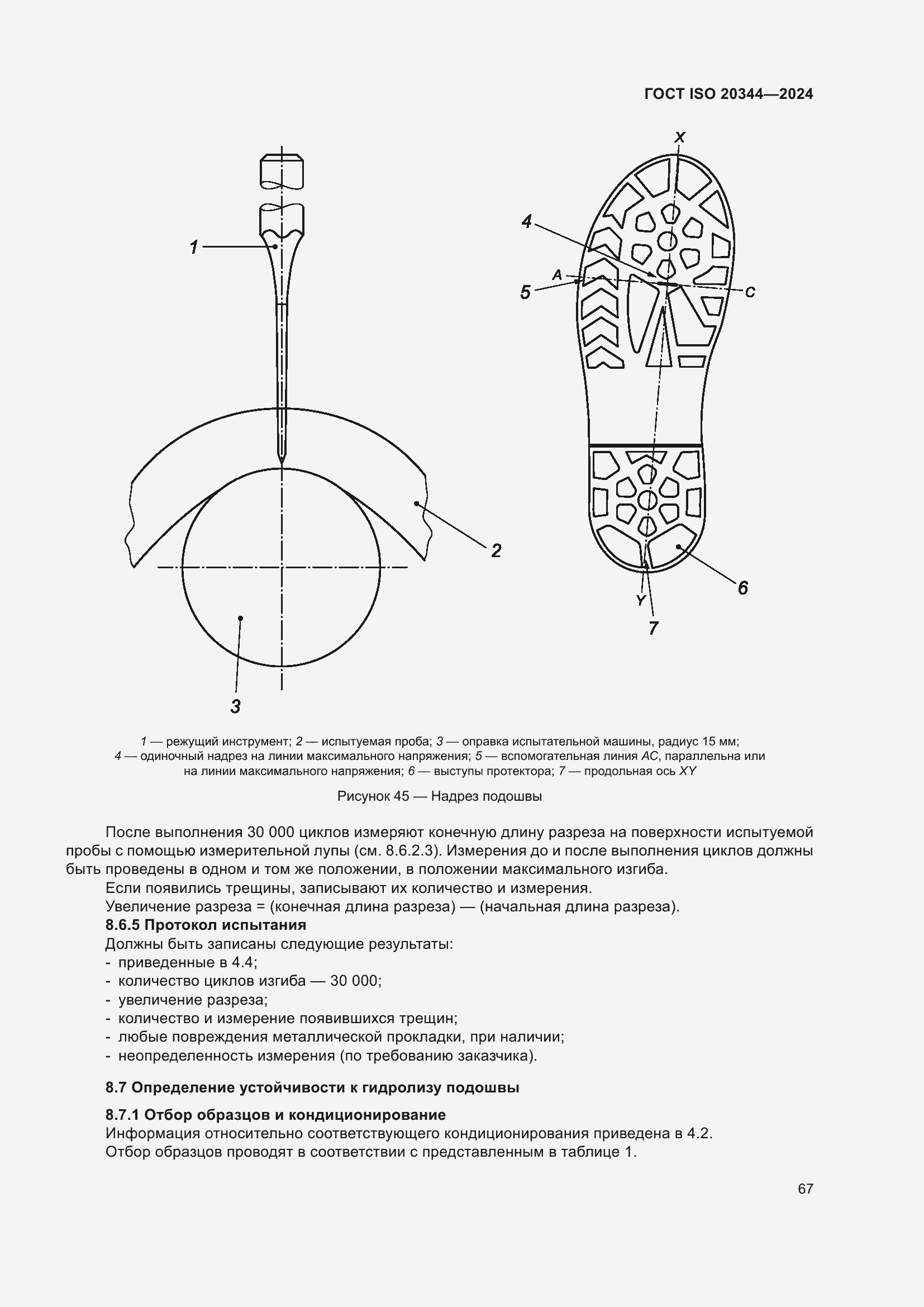���� ISO 20344-2024. �������� 74