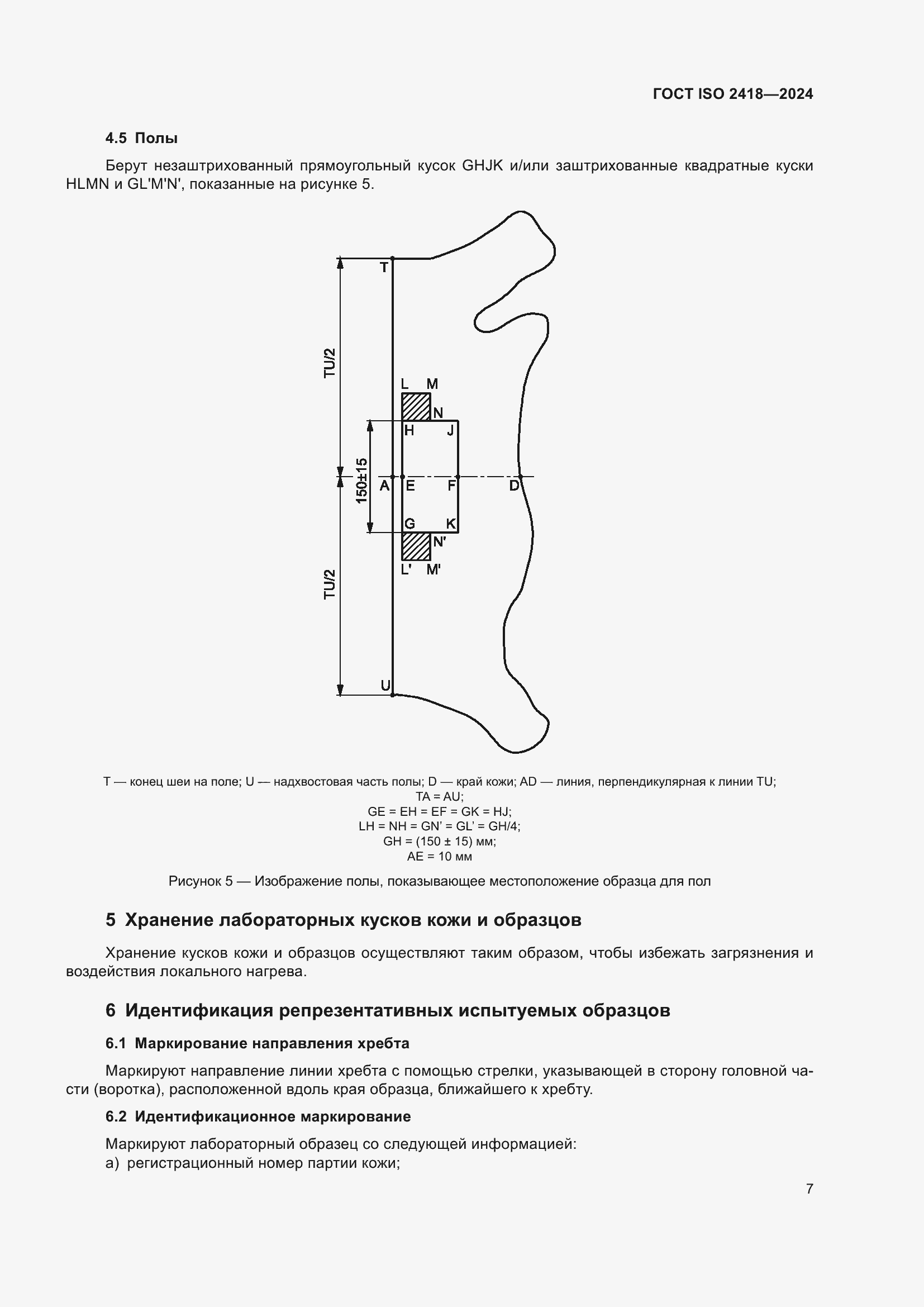 ���� ISO 2418-2024. �������� 12
