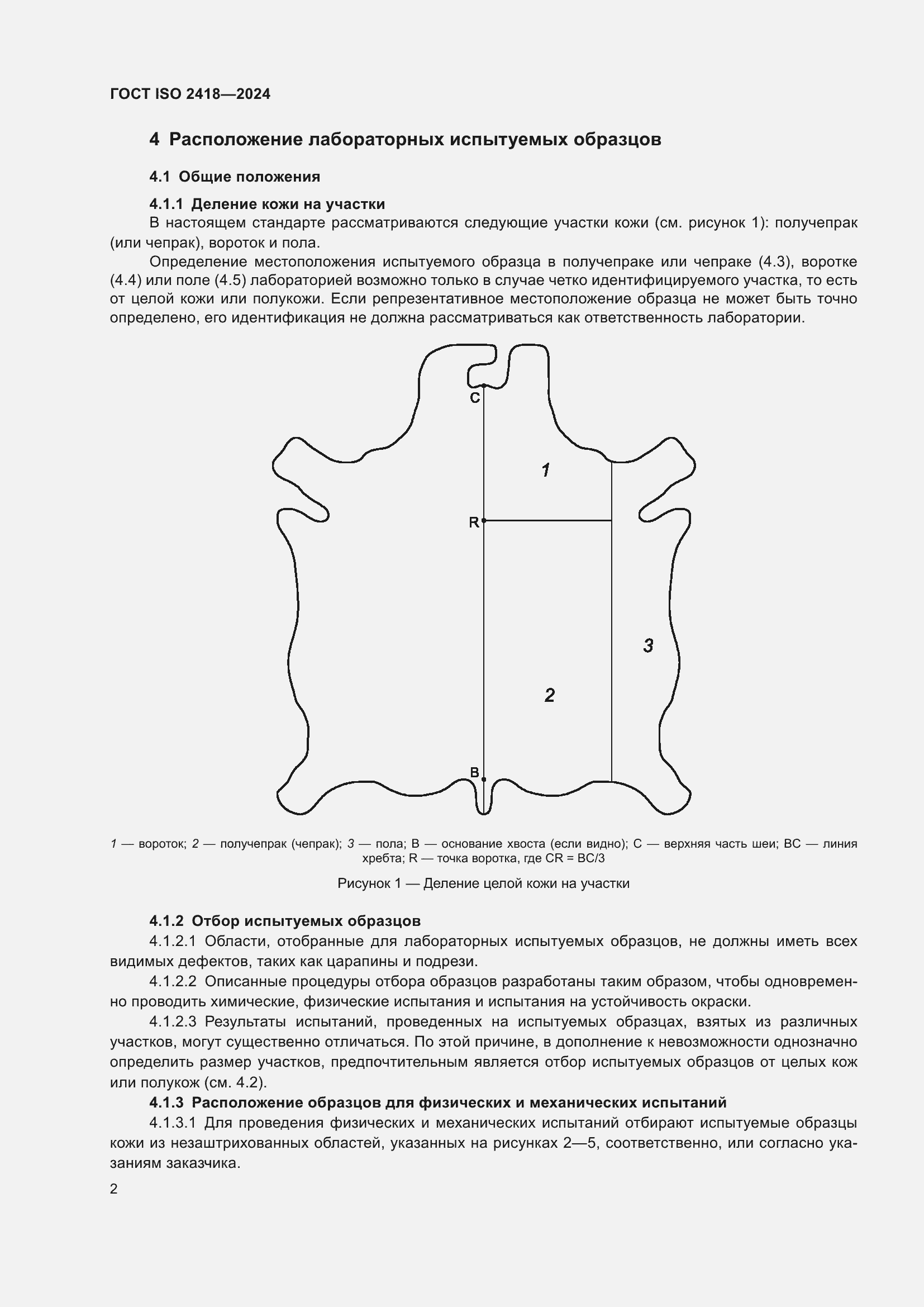 ���� ISO 2418-2024. �������� 7