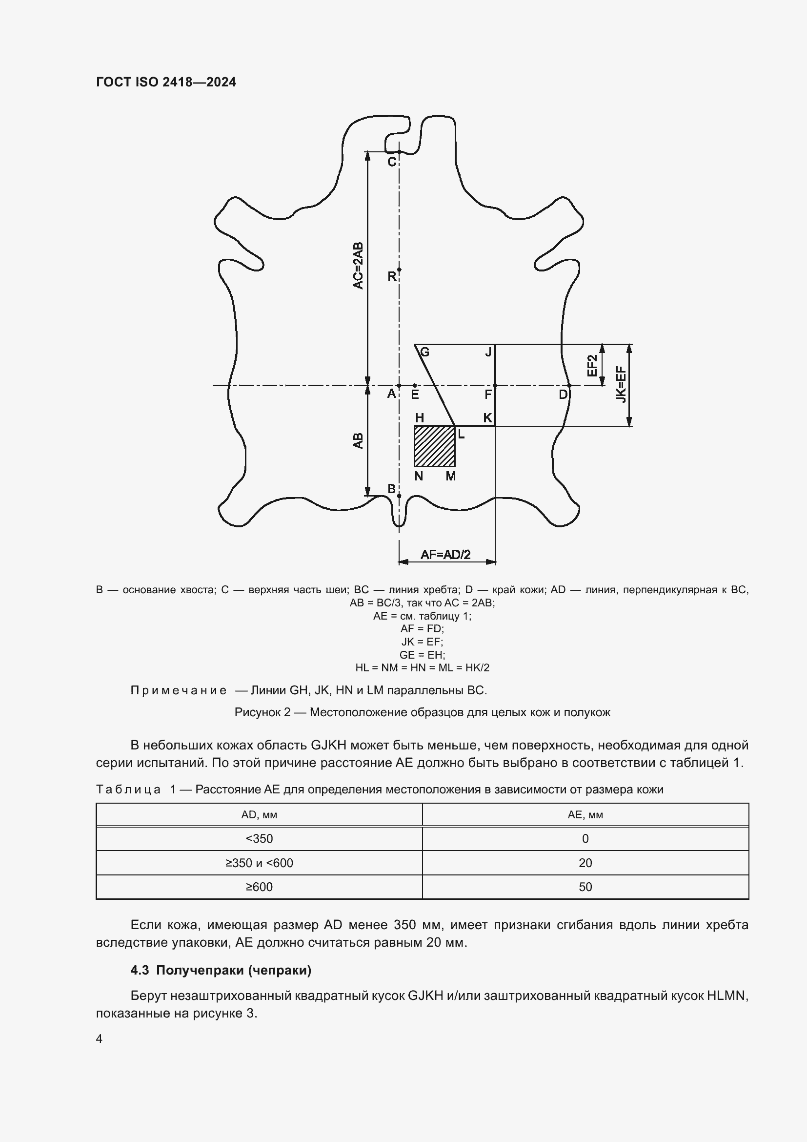 ���� ISO 2418-2024. �������� 9
