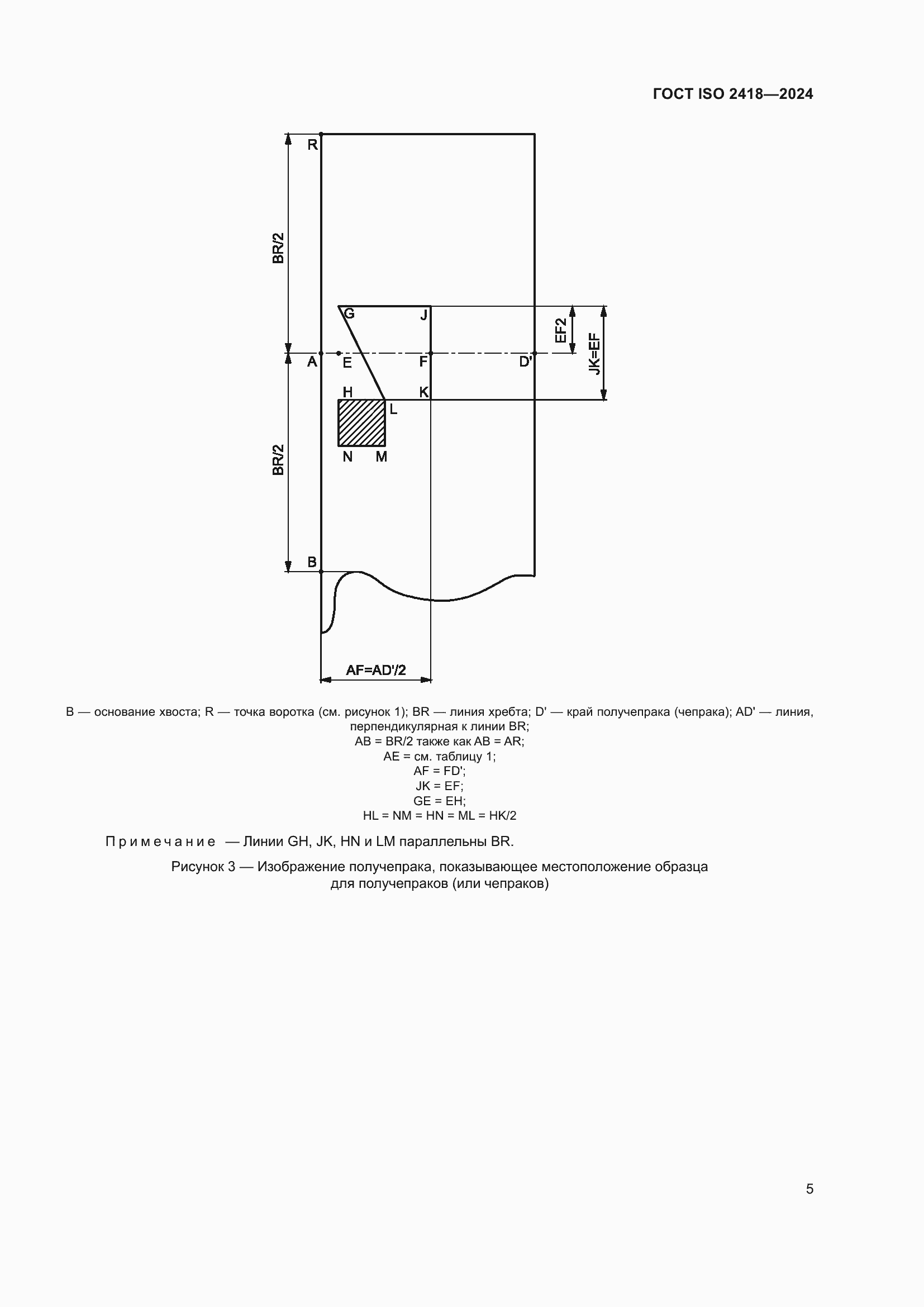 ���� ISO 2418-2024. �������� 10