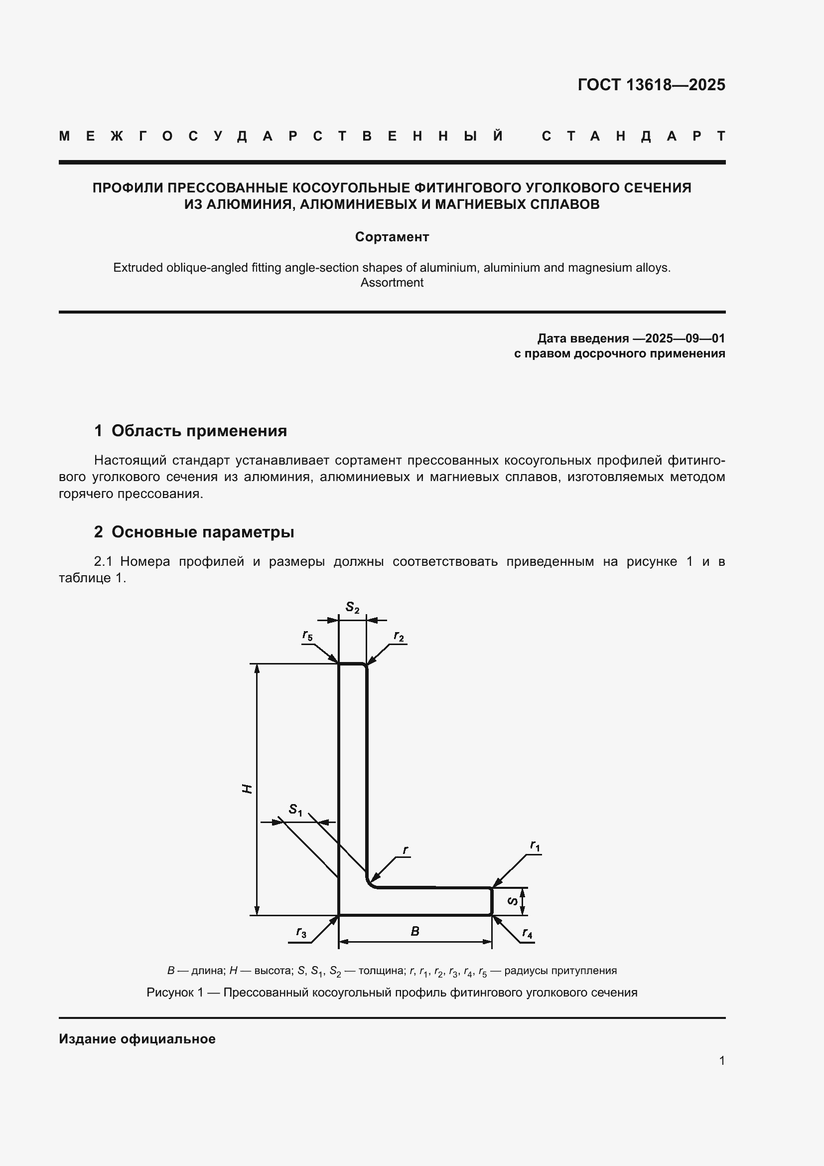 ���� 13618-2025. �������� 5