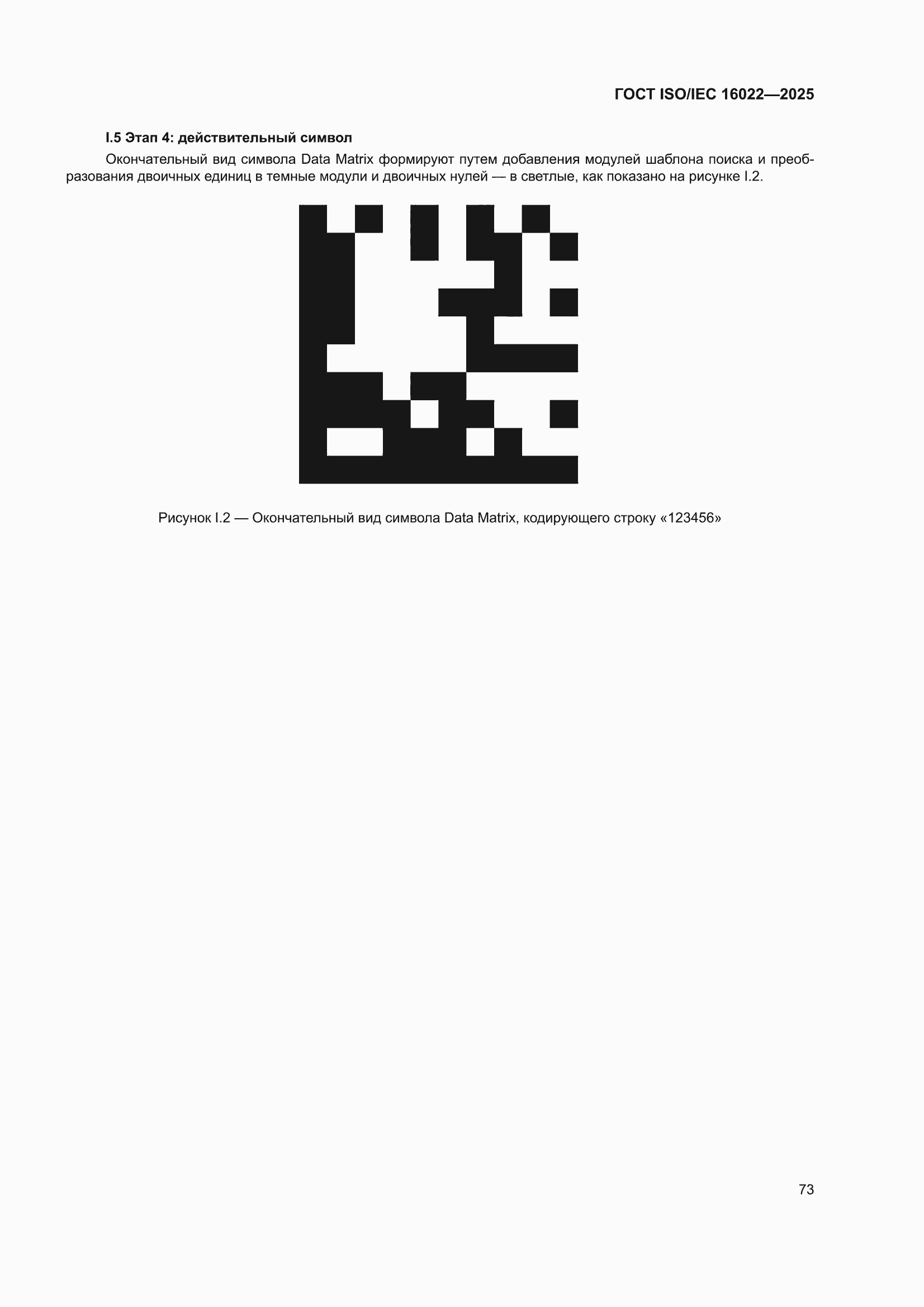 ���� ISO/IEC 16022-2025. �������� 79